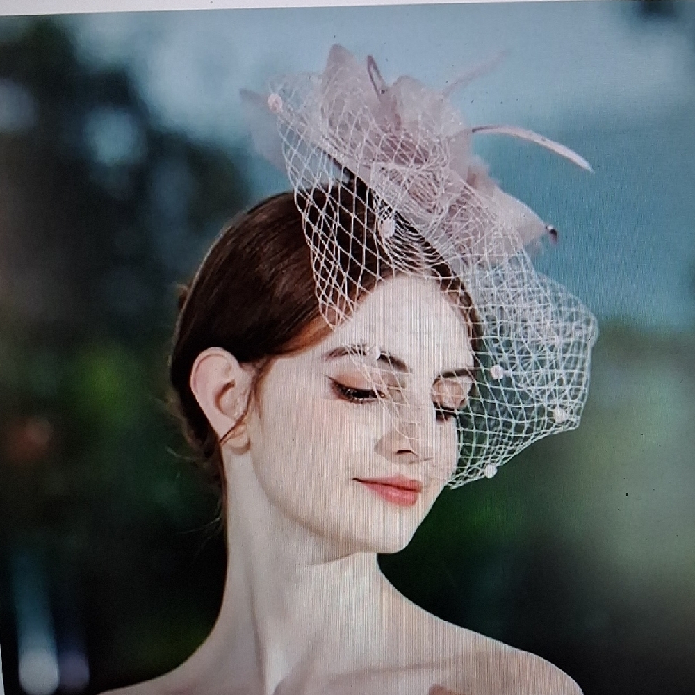 Elegant Pink Fascinator Horse Races Church